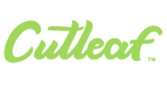 Cutleaf