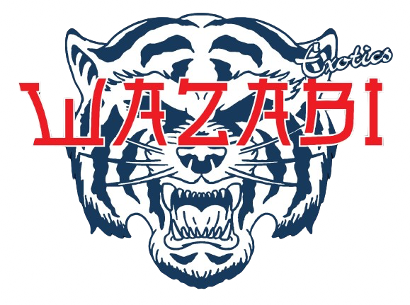 Wazabi